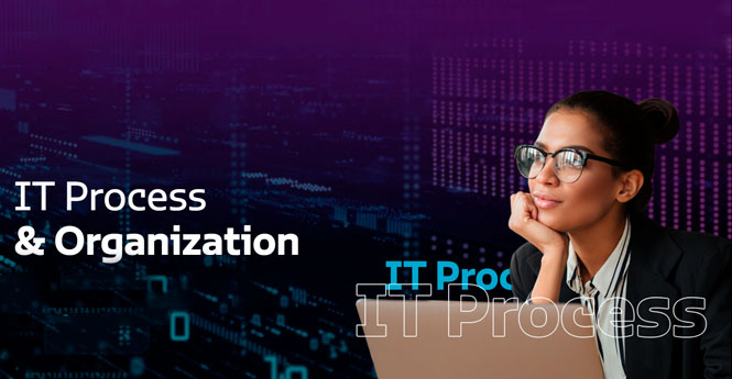 IT Process & Organization | Axity | Servicios de TI y Comunicaciones